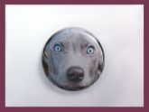 PinPet 25mm