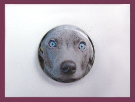 PinPet 25mm